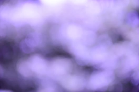 Purple light blur background
