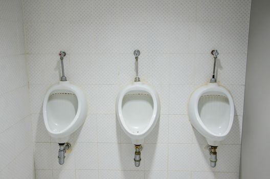 Tree urinal in public toilet