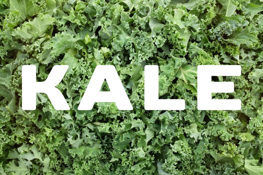 KALE text written over green chopped kale leaves background