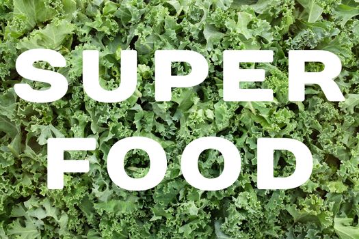 SUPERFOOD concept text written over green chopped kale leaves background