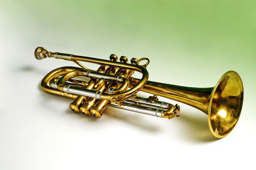 Brass trumpet against a white to green gradient background