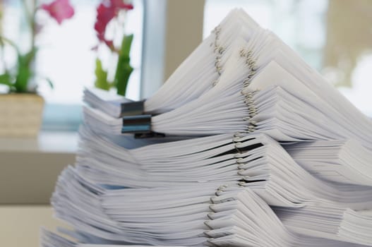 Many stack of white document were put  on office background.