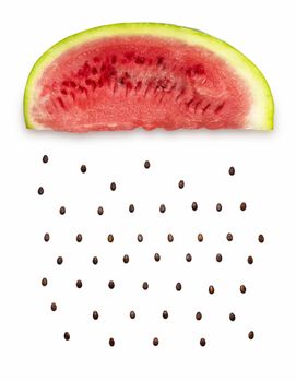 Creative concept photo of a watermelon slice with seeds falling down on white background.