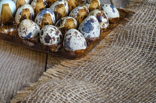 Quail eggs in a plastic stand on the old wooden background