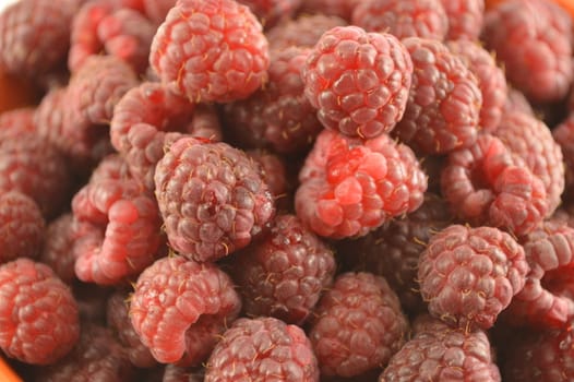 Raspberries Close-Up
