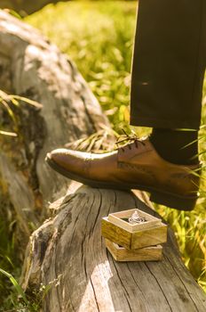 wedding rings in a wooden box on the tree