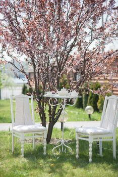 wedding decor chairs with a table, cups, teapot