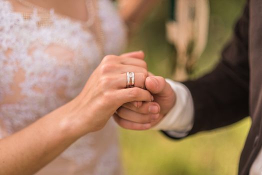 the bride and groom to hold hands, wedding rings