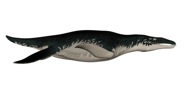 Liopleurodon prehistoric fish isolated in white background - 3D render