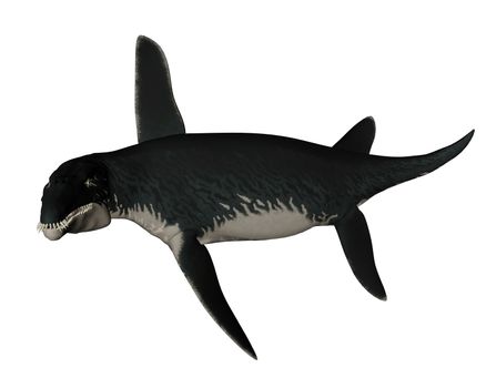 Liopleurodon prehistoric fish swooping isolated in white background - 3D render