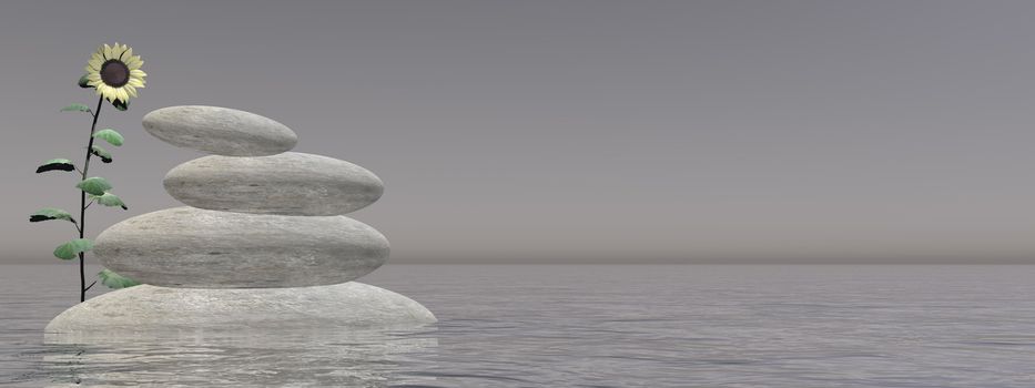 Zen stones and sunflower upon water in blue background - 3D render