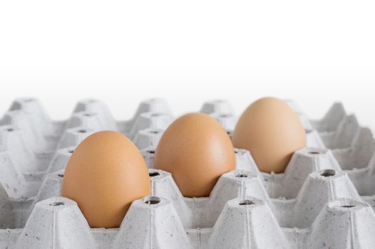 brown chicken eggs in cardboard