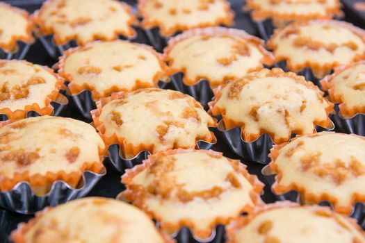 Freshly baked muffins in metal tins