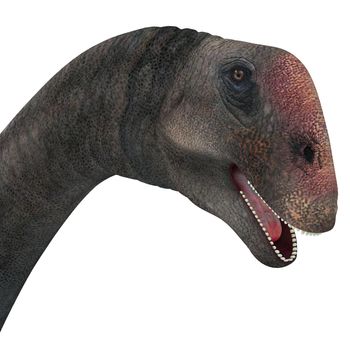 Brontomerus was a herbivorous sauropod dinosaur that lived in the Cretaceous Period of Utah, USA.