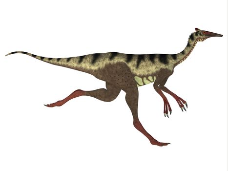 Pelecanimimus was a carnivorous theropod dinosaur that lived in the Cretaceous Period of Spain.