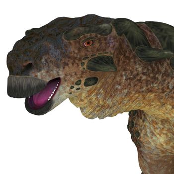 Pinacosaurus was a herbivorous ankylosaur that lived in the Cretaceous Period of Mongolia and China.