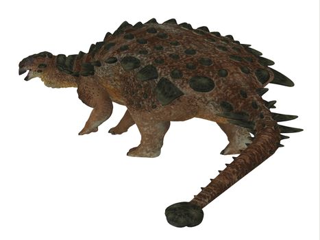 Pinacosaurus was a herbivorous ankylosaur that lived in the Cretaceous Period of Mongolia and China.