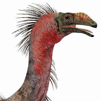 Therizinosaurus was a carnivorous theropod dinosaur that lived in the Cretaceous Period of Mongolia.