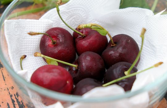Cherry fruit, a fruits that rich vitamin C, agriculture product import  to Vietnam