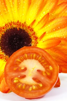 Selective focus on freshly cut tomato in front of sunflower with dew on petals