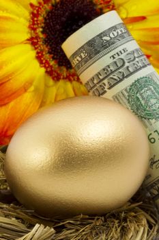 American currency and gold nest egg placed in front of sunflower reflects successful, bright investment outcomes.