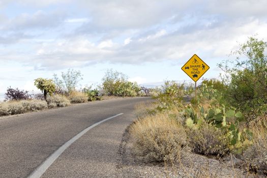 Saguaro National Park East's multiuse Share the Road sign.  Cactus Forest Loop Drive is used by cars, bikers, hikers, and wildlife. Location is Tucson, Arizona, USA.