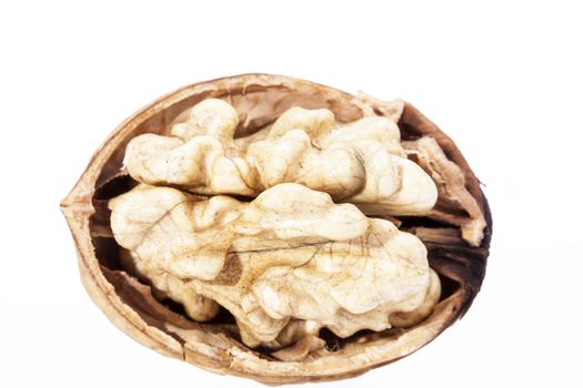 Single walnut isolated on white background.