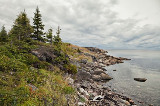 Coast of White sea in summer, northern Russia