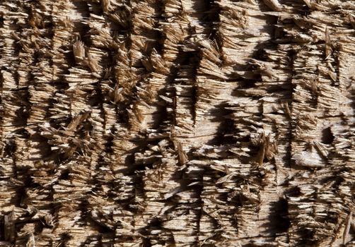 Old chipped wood, macro shot, for texture or background