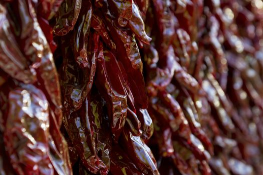 Dark red chili peppers on dried strings in Santa Fe, New Mexico. Close up and selective focus in horizontal image. 