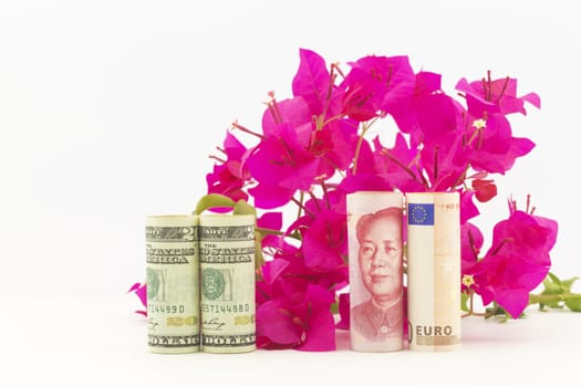 Three currencies, American dollars, China yuan, and European Union euro, in front of red bougainvillea reflect economic recovery hopes for fresh global growth. 