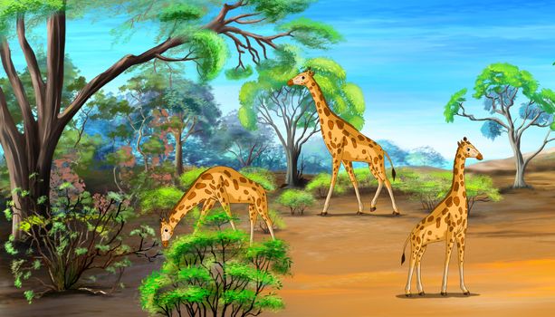 Herd of giraffes grazing in the savannah sunny summer day. Digital painting  cartoon style full color illustration.