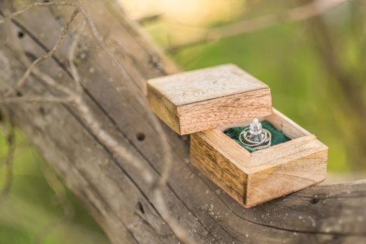 wedding rings in a wooden box on the tree