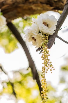 wedding decor, flowers on the tree