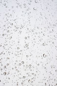 Drops of rain on the window (glass). Shallow DOF. 