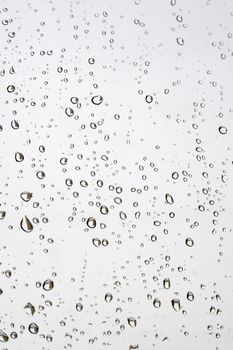 Drops of rain on the window (glass). Shallow DOF.