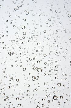 Drops of rain on the window (glass). Shallow DOF.