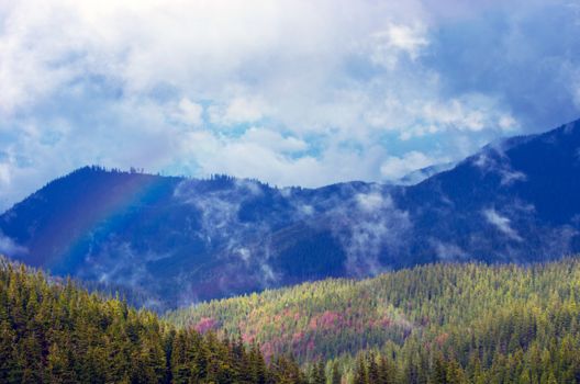 Amazing mountain landscape with dense fog. Carpathian Mountains