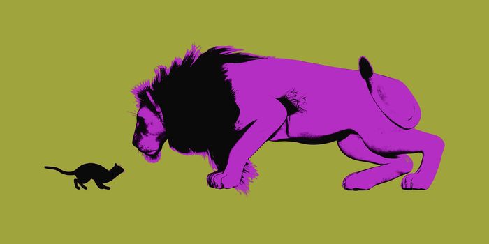 Perseverance Concept with Small Cat Staring at Lion