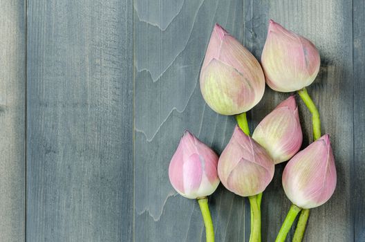 top view of pink water lily over wooden background