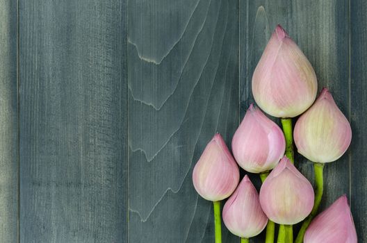 top view of pink water lily over wooden background