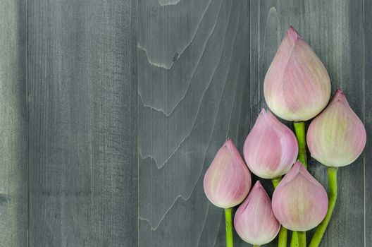 top view of pink water lily over wooden background