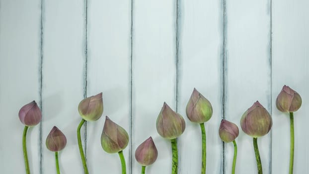 top view of pink water lily over wooden background,  Free space for text