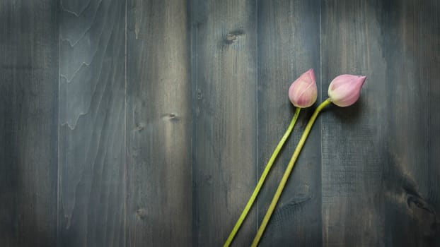 top view of pink water lily over wooden background,  Free space for text