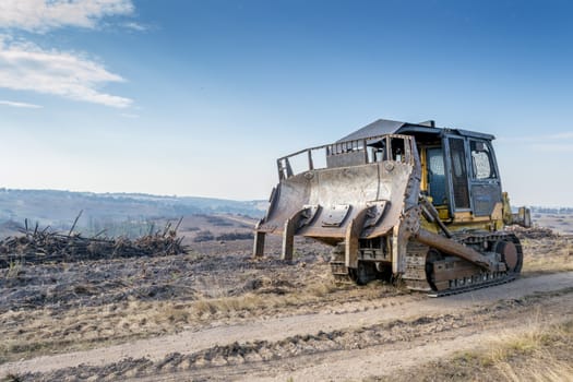 Trees that have been burnt in a bushfire/wildfire that have been bull dozered over and pushed into piles ready to be burnt.  A bulldozer is in the foreground.