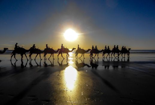 Camel ride at sunset on Cable Beach near Broome, Western Australia