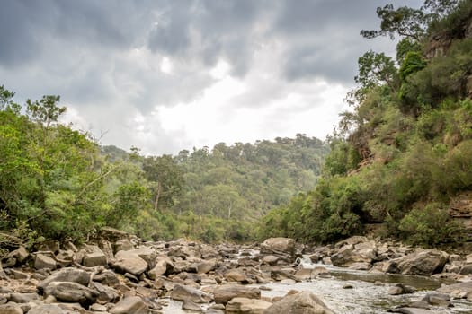 Mitchell River in Gippsland, Victoria, Australia