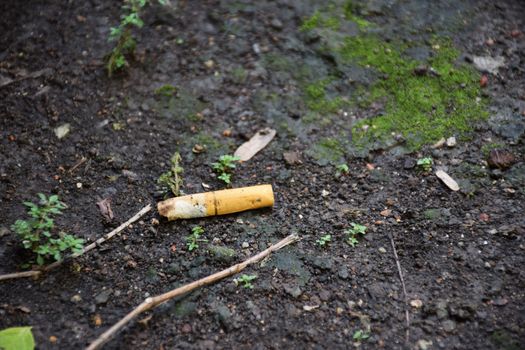 cigarette/trash on the ground.