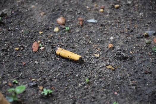 cigarette/trash on the ground.