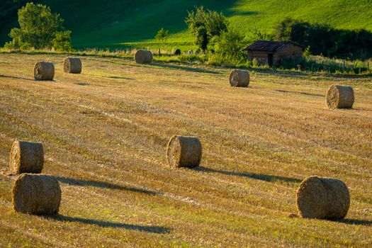 Bales in a field in the Tarn region, France